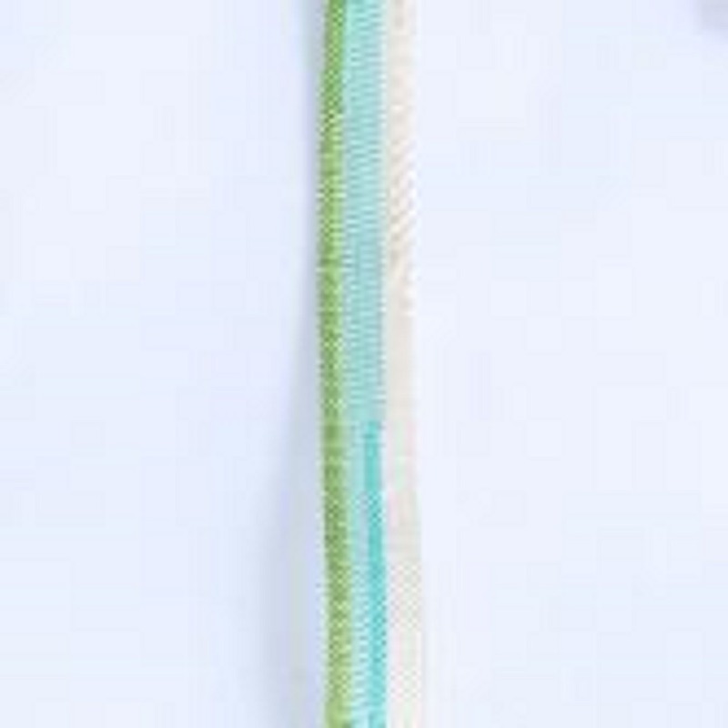 SISAL SISAL